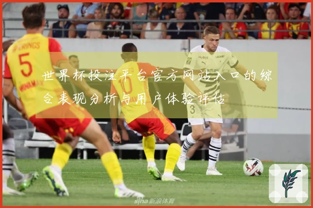 世界杯投注平台官方网站入口的综合表现分析与用户体验评估