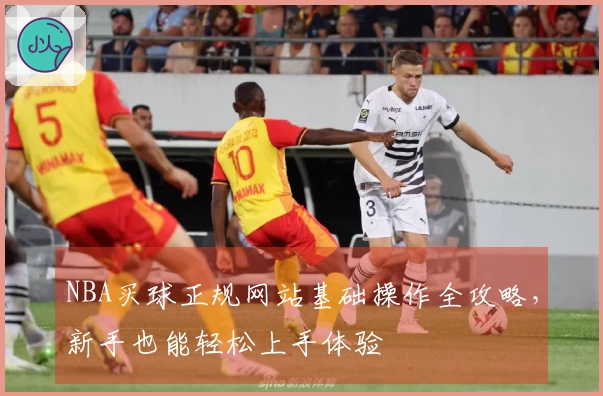 NBA买球正规网站基础操作全攻略，新手也能轻松上手体验