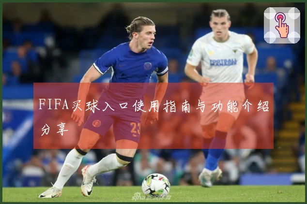 FIFA买球入口使用指南与功能介绍分享