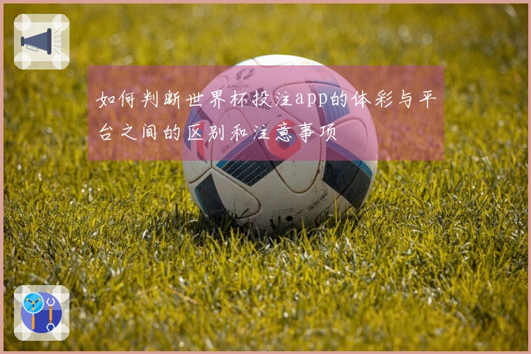 如何判断世界杯投注app的体彩与平台之间的区别和注意事项