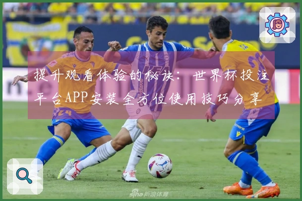 提升观看体验的秘诀：世界杯投注平台APP安装全方位使用技巧分享