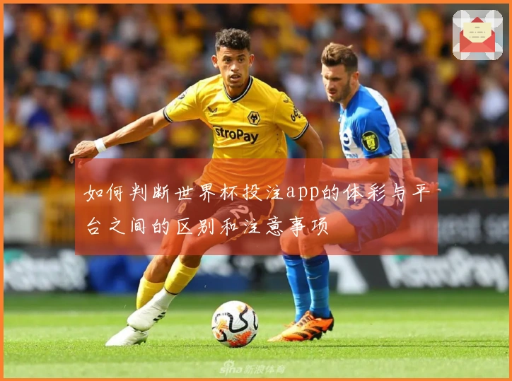 如何判断世界杯投注app的体彩与平台之间的区别和注意事项
