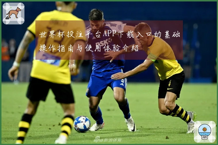 世界杯投注平台APP下载入口的基础操作指南与使用体验介绍