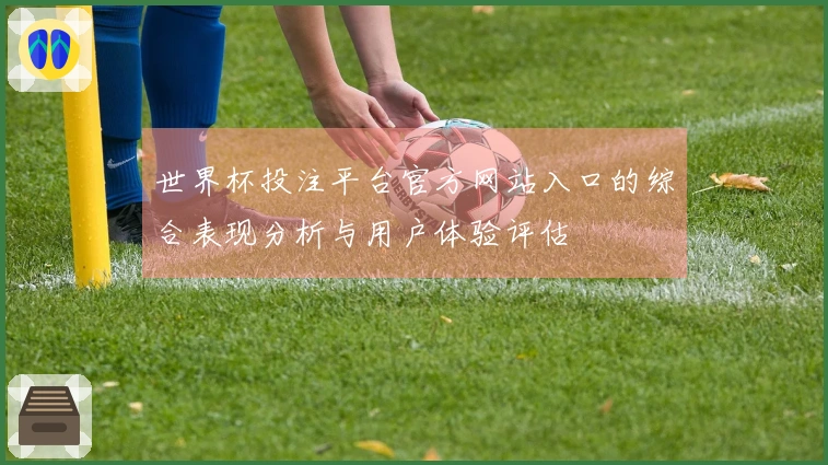 世界杯投注平台官方网站入口的综合表现分析与用户体验评估