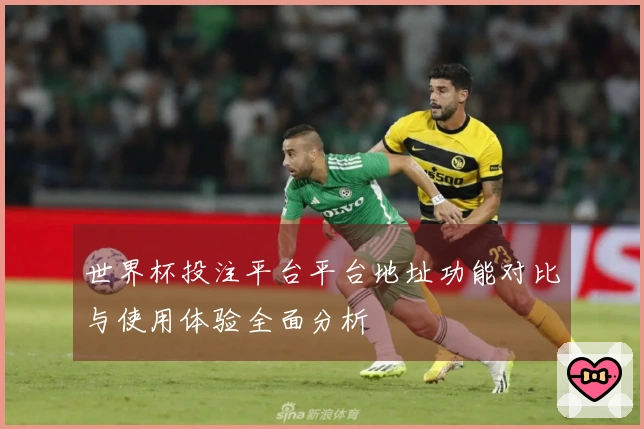 世界杯投注平台平台地址功能对比与使用体验全面分析
