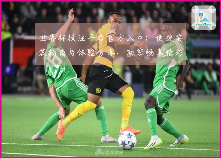 世界杯投注平台官方入口：便捷安装指南与体验分享，助您畅享精彩赛事