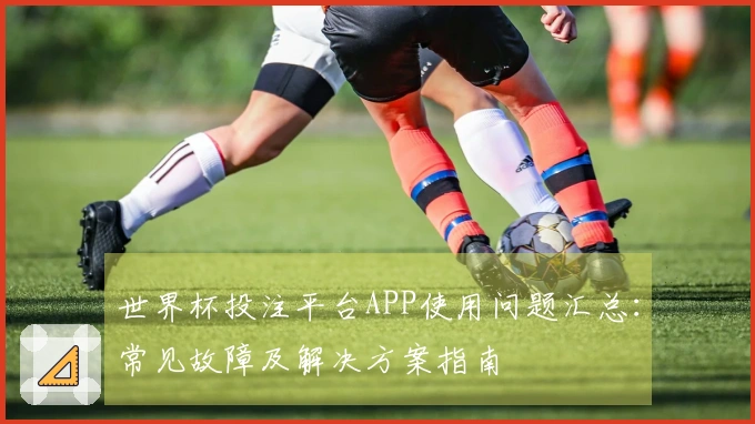 世界杯投注平台APP使用问题汇总：常见故障及解决方案指南