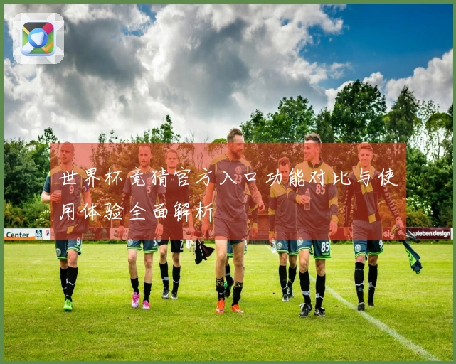世界杯竞猜官方入口功能对比与使用体验全面解析