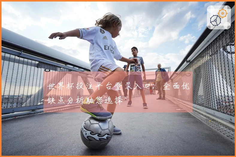 世界杯投注平台登录入口：全面优缺点分析助您选择