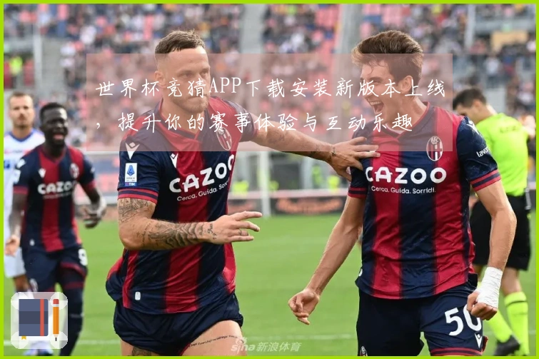 世界杯竞猜APP下载安装新版本上线，提升你的赛事体验与互动乐趣