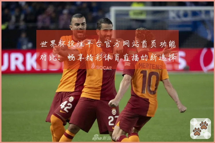 世界杯投注平台官方网站首页功能对比：畅享精彩体育直播的新选择