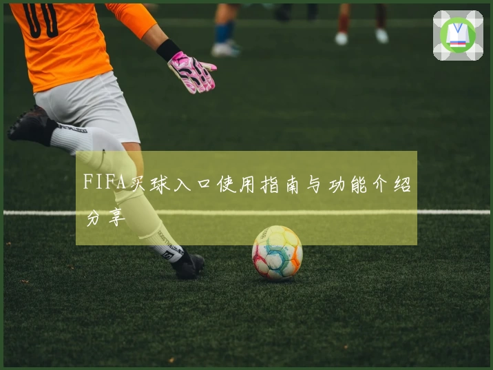 FIFA买球入口使用指南与功能介绍分享