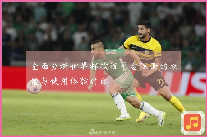 全面分析世界杯投注平台注册的功能与使用体验对比