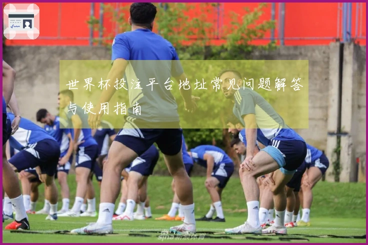 世界杯投注平台地址常见问题解答与使用指南
