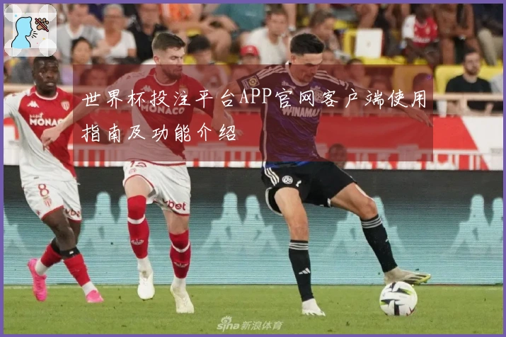 世界杯投注平台APP官网客户端使用指南及功能介绍